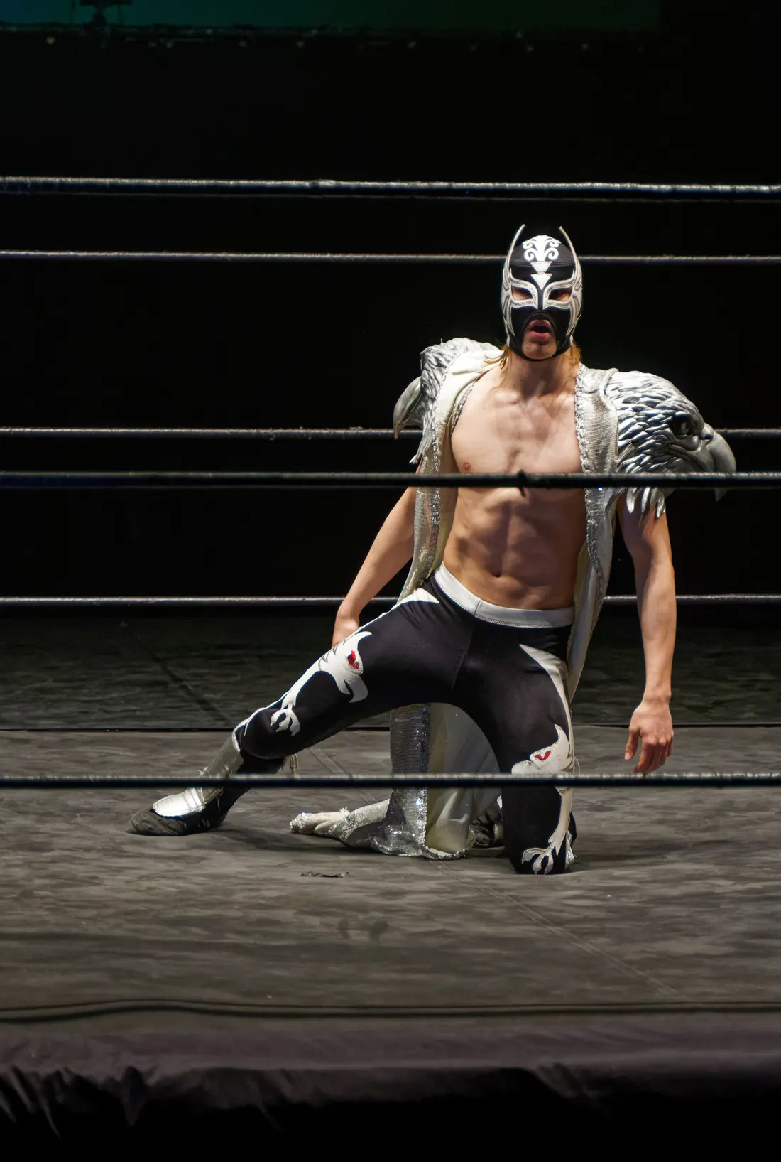 A masked Lucha Libre wrestler in full costume at a live show